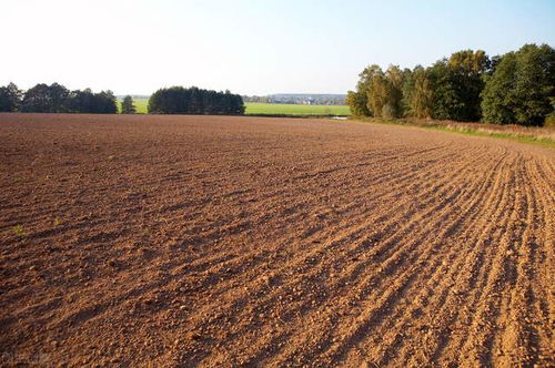 黃汾百萬畝糧食優質高產高效示范基地建設啟動
