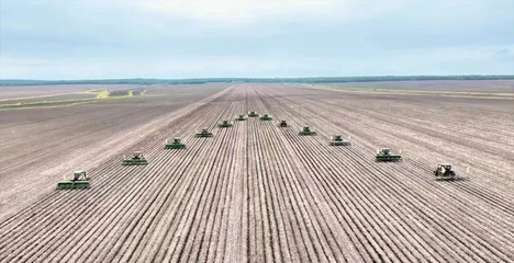 龍江森工集團:森林糧食產量突破30億斤