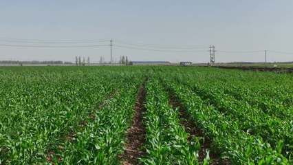 北方農(nóng)業(yè)北方農(nóng)業(yè)