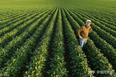 農業大國模式比較 美國規模化、德國智能化、以色列精準化，中國農業路在何方？