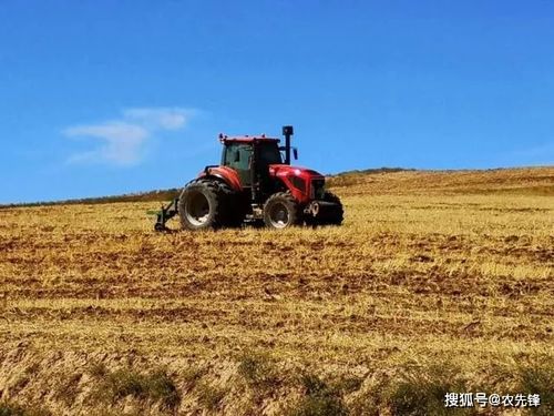 數字化時代的農作物信息化育種 實施步驟與核心要點